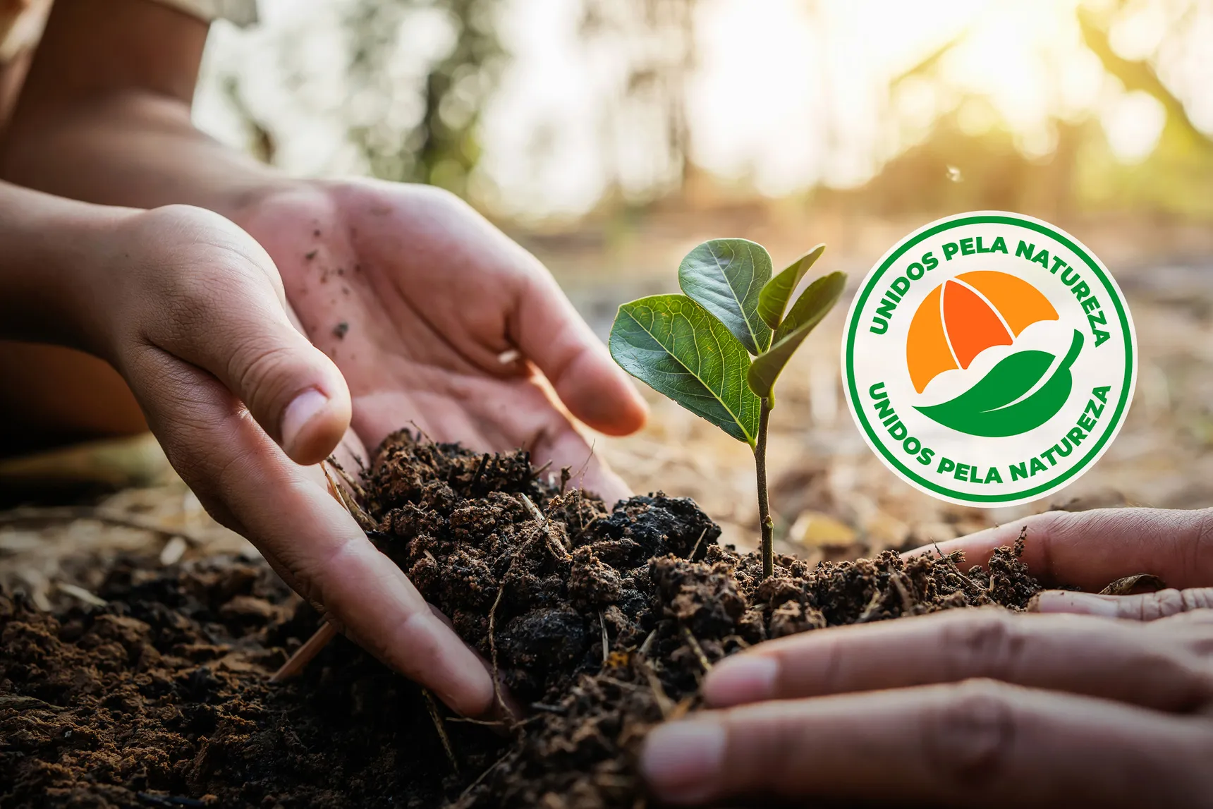 Segfy e Abundance Brasil unem forças em prol da sustentabilidade para corretoras de seguros